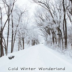 Musica Relajante - Cold Winter Wonderland