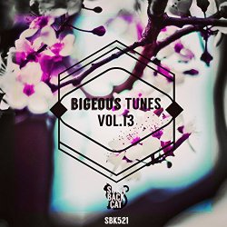 Various Artists - Bigeous Tunes, Vol. 13