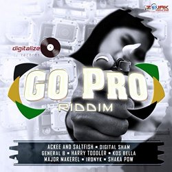 Various Artists - Go Pro Riddim [Explicit]