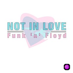 Funk N Floyd - Not in Love