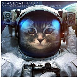 Various Artists - Spacecat Hits 1 [Explicit] (Best EDM Tunes from Around the Universe)