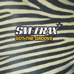 SM-Trax - Got the Groove