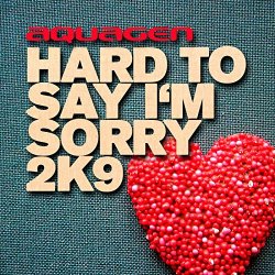 Aquagen - Hard To Say I'm Sorry 2K9 (Dany Wild Club Remix)