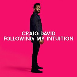 Craig David - Following My Intuition