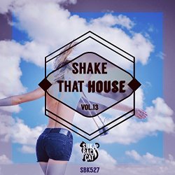 Various Artists - Shake That House, Vol. 13