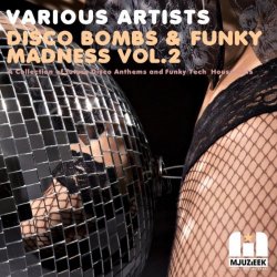 Various Artists - Disco Bombs & Funky Madness Vol.2