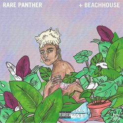 Duckwrth - Rarepanther+Beachhouse - Single [Explicit]