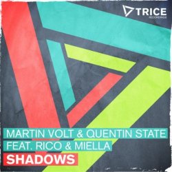 Martin Volt - Shadows