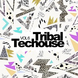 Various Artists - Tribal Techouse, Vol. 6