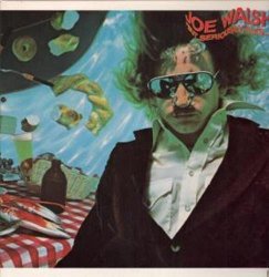 JOE WALSH - BUT SERIOUSLY FOLKS LP (VINYL ALBUM) US ASYLUM 1978