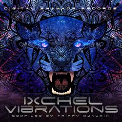 Various Artists - Ixchel Vibrations