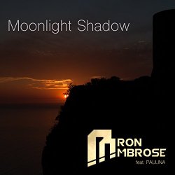 Aaron Ambrose feat. Paulina - Moonlight Shadow