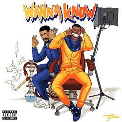 Dave - Wanna Know Remix (feat. Drake) [Explicit]