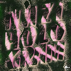 Clear Plastic Masks - Nazi Hologram