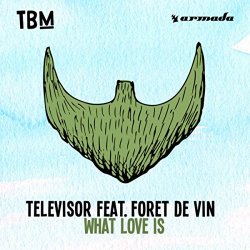 Televisor feat Foret De Vin - What Love Is