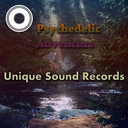 Various Artists - Psychedelic Adventure