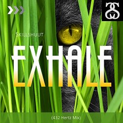 Skillshuut - Exhale (432 Hertz Mix)