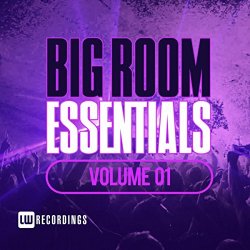 Various Artists - Big Room Essentials, Vol. 01