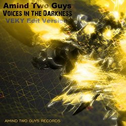 Amind Two Guys - Voices In The Darkness