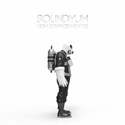 Soundyum - Non Compos Mentis