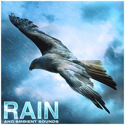 Rain and Ambient Sounds, Relaxation, Meditation, Yoga