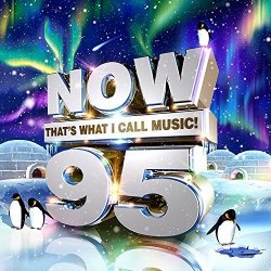 Various Artists - Now That's What I Call Music! 95