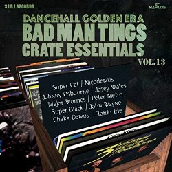 Various Artists - Dancehall Golden Era Vol. 13 (Badman Tings)
