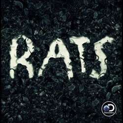 Pierre Takal - Rats