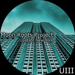Moon Roots Project - Upstate New York