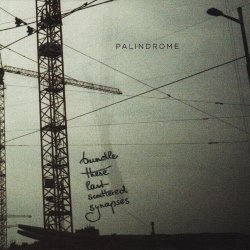 Palindrome - Bundle These Last Scattered Synapses