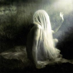 Spleen Arcana - The Field Where She Died