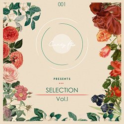 Various Artists - Candy Flip Presents Selection Vol. 1