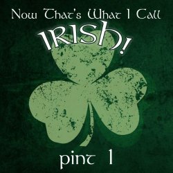 Various Artists - Now That's What I Call Irish!