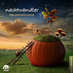 Various Artists - Nachtwandler, Vol. 17 - Deep Electronic House