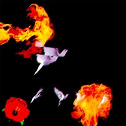 MFK Marcy Mane - 30 K Diamonds and Tears [Explicit]