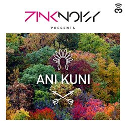 Pink Noisy - Ani Kuni
