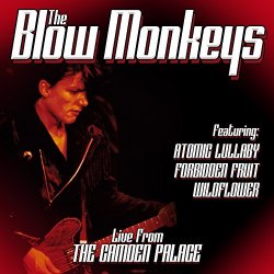 Blow Monkeys, The - Live From London