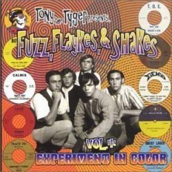 Various Artists - Fuzz, Flaykes, & Shakes, Vol. 4: Experiment in Color by Bacchus Archives