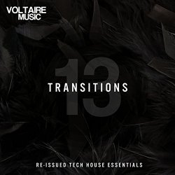 Various Artists - Transition Issue 13