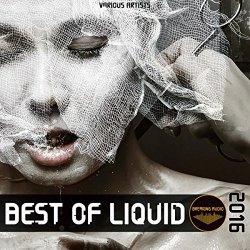 Various Artists - Breaking Audio: Best of Liquid 2016