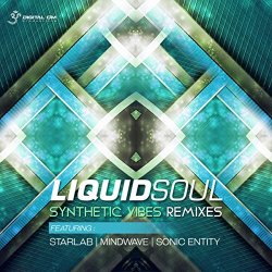 Synthetic Vibes Remixes