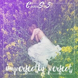 CommonSen5e - Imperfectly Perfect
