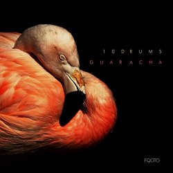 10Drums - Guaracha