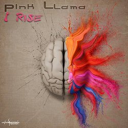 Pink Llama - I Rise
