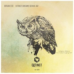 Brian Cid - Extinct Dream Series 002