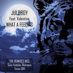 Juloboy  Valentina - What A Feeling