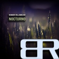 Osman Villamizar - Nocturno