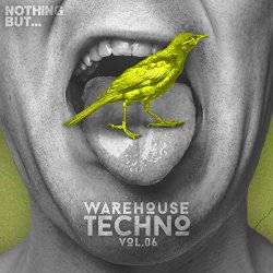 Various Artists - Nothing But... Warehouse Techno, Vol. 6