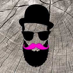 Various Artists - Hipster Club, Vol. 13