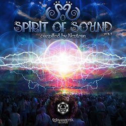 Various Artists - Spirit of Sound Vol1